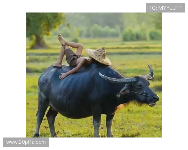 从放牛娃到绿茵场上的明星梦想成真之路